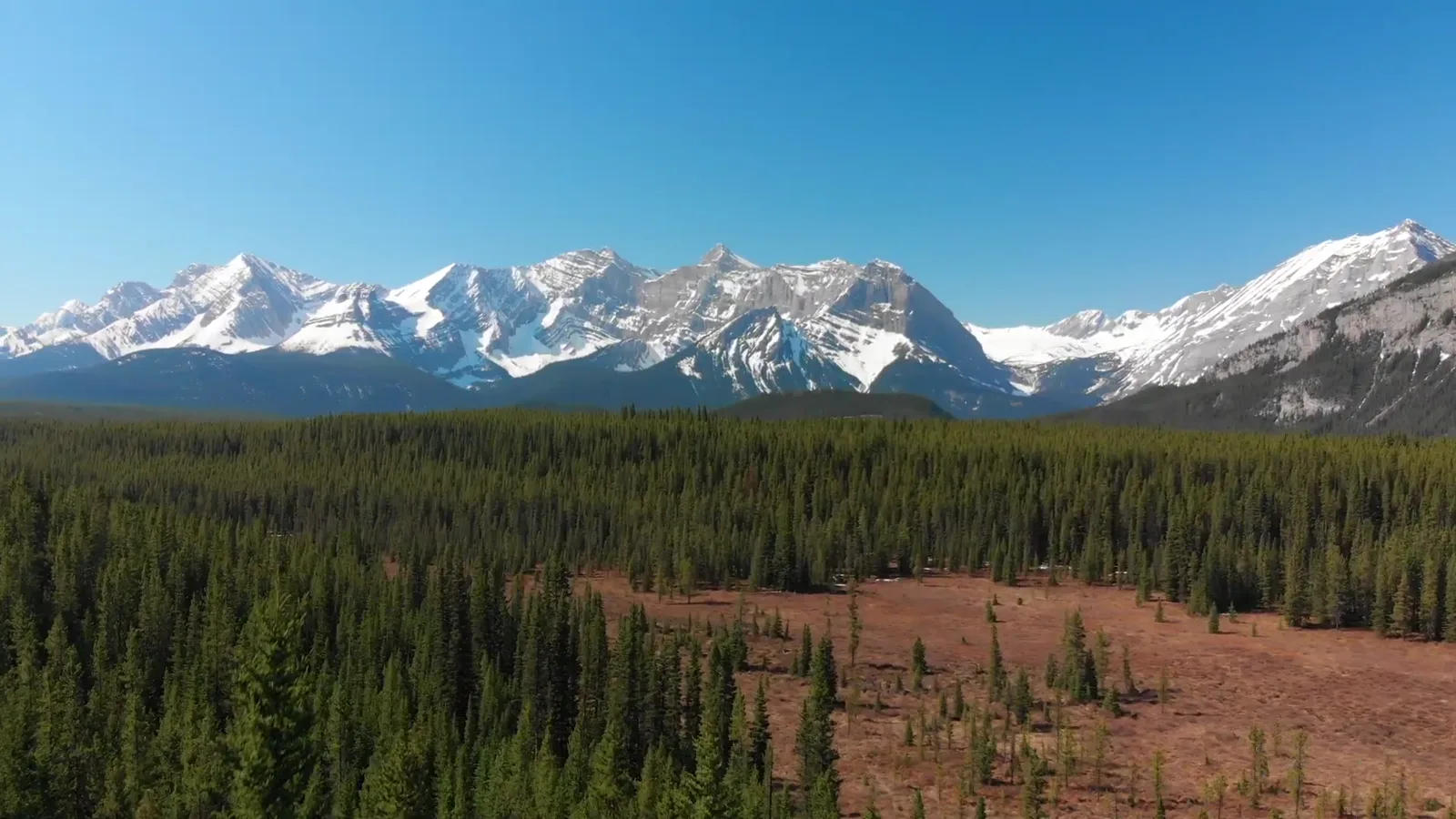 Snow-capped Rockies above an open boreal plain